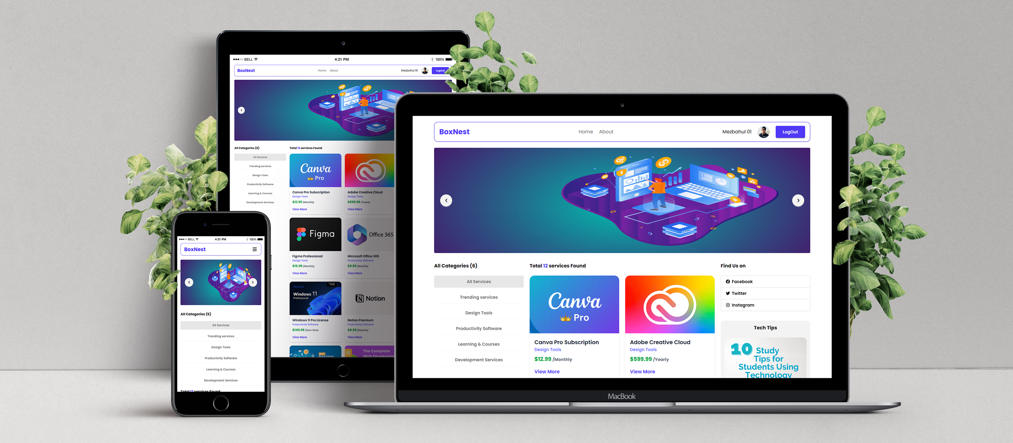BoxNest preview